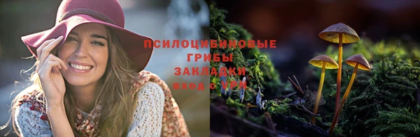 гидропоника Абдулино