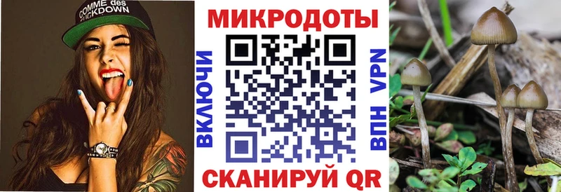 Галлюциногенные грибы GOLDEN TEACHER хочу наркоту Кирсанов
