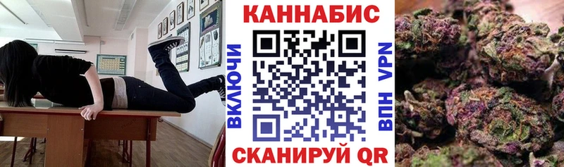 Марихуана сатива  Кирсанов 